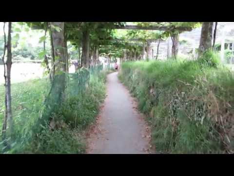 Camino Portugues Walkthrough Angueira De Suso