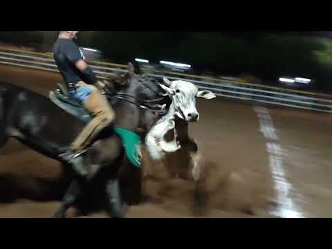 Grande final da vaquejada parque El dorado Show.categoria aberta.
