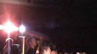 Belvedere - The bottom line live in burlington