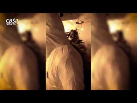 Policjanci CBŚP zatrzymali 37-letniego Krzysztofa G