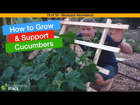 , title : 'How to grow INCREDIBLE Cukes'
