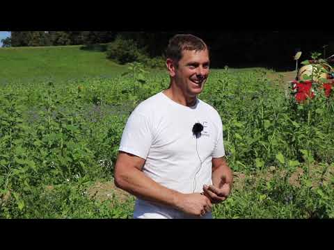 Flächenrotte - Feldtag mit Gerhard Weisshäupl