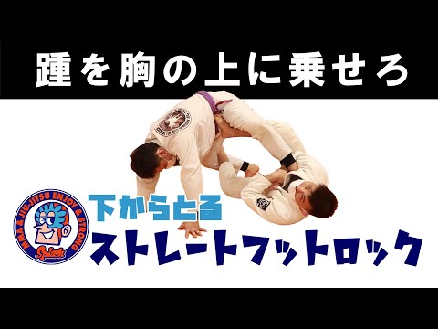 下からのストレートフットロック