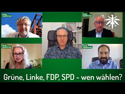 Grüne, Linke, FDP, SPD - wen wählen? Diskussionsrunde