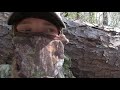 2017 Alabama Public land Turkey hunt 2017 Alabama Public land Turkey hunt
