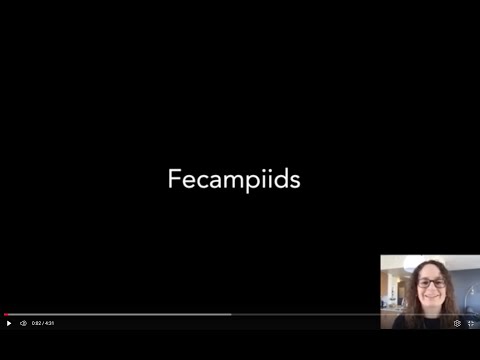 Fecampiids
