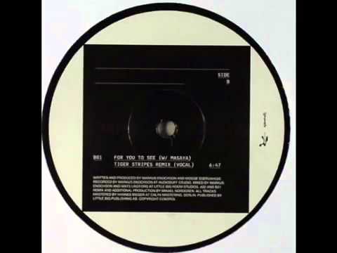 WWW DOWNVIDS NET Markus Enochson feat Masaya   For you to see Tiger Stripes remix vocal