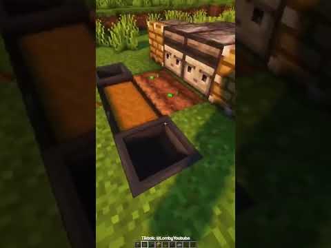 Mind-Blowing Technique: Secret Melon-Pumpkin Farm!
