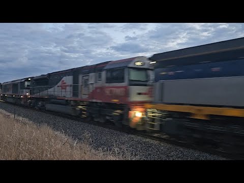 6AM9 SCT Freighter (CSR023, SCT003, CF4428), Penfield to Laverton, 2030, 22/11/24, Stawell VIC