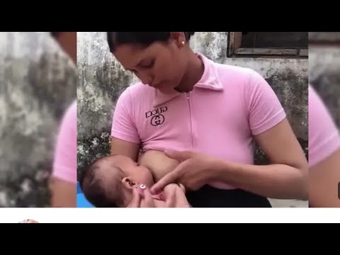 Mitwa 4K Video - KANK | Shahrukh Khan, Rani Mukherjee | Shafqat Amanat Ali, Shankar Mahadevan