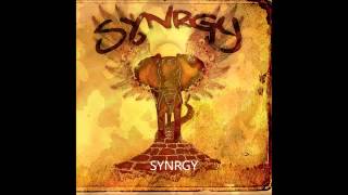 Synrgy - Lost and Found