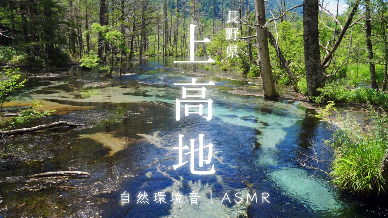 【睡眠用BGM】上高地・梓川｜心洗われる清流のせせらぎと自然音で熟睡【長野・秘境】