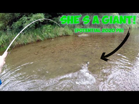 Trout Magnet JIGGING (secret technique explained!) | Huge FISH & Huge GIVEAWAY!