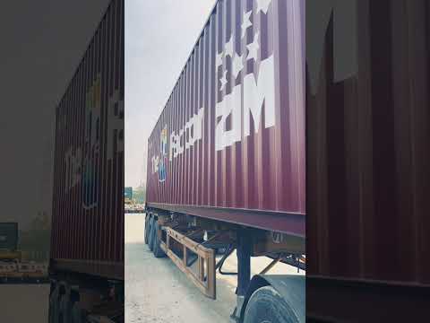 The z factor ZIM 2021