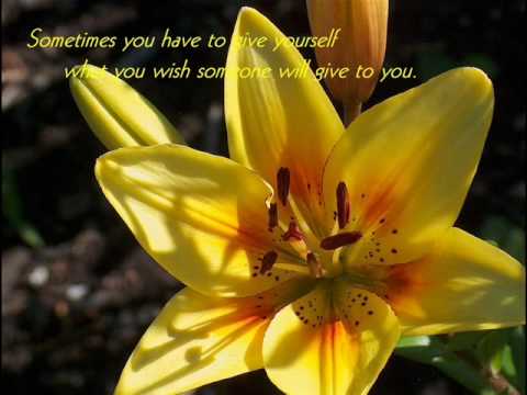 Thumbnail for I Need You video