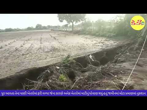 ભારે વરસાદના કારણે સાવરકુંડલા તાલુકાના ફિફાદ ગામમાં ખેતરોનું ધોવાણ