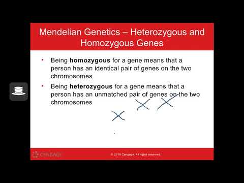 PSY 102 - Chapter 4 (Genetics & Evolution)
