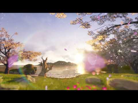 Feel the Nature | Birds singing | 432Hz | Water Sounds | Meditation Music