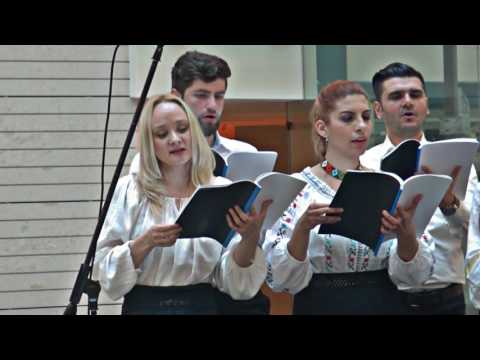 Corul Canticum - Rujă, Rujă - S. Păutza