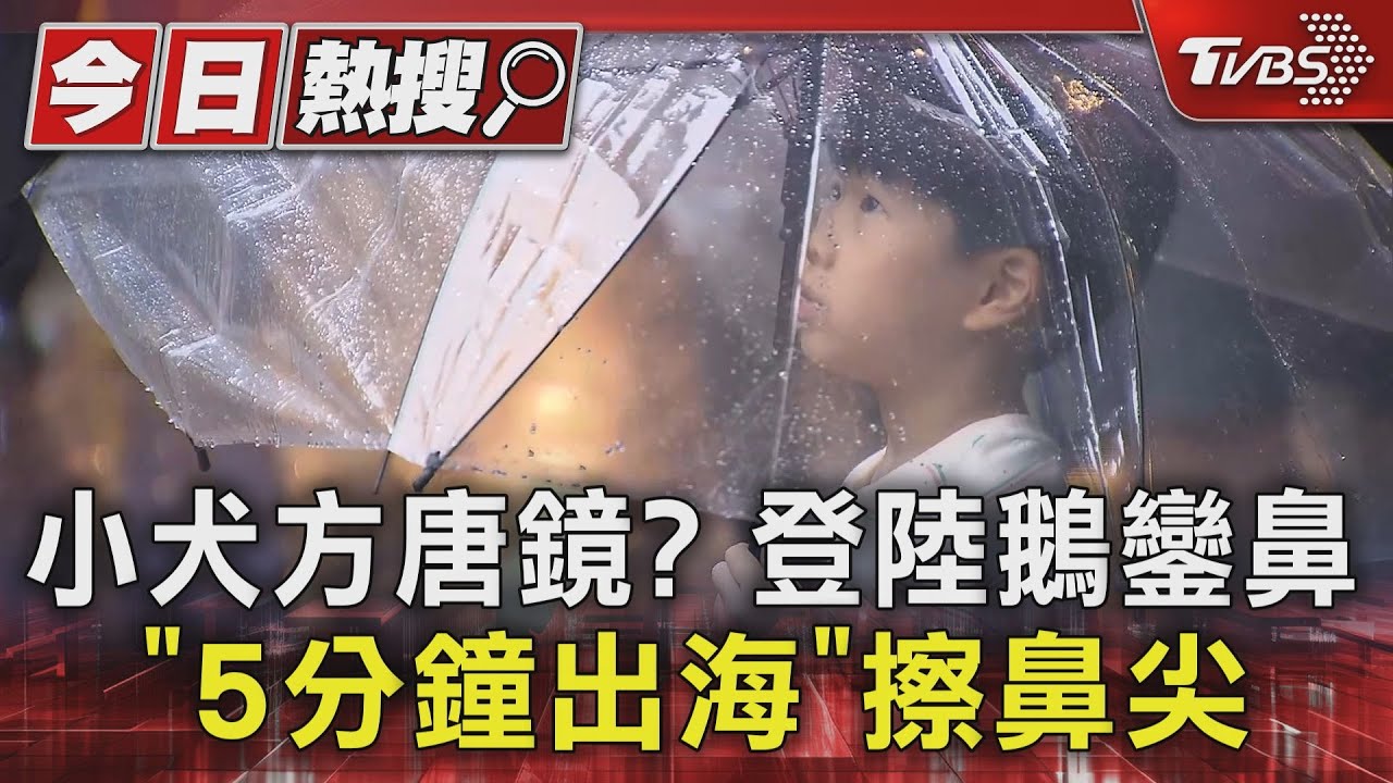 小犬方唐鏡?登陸鵝鑾鼻「5分鐘出海」擦鼻尖
