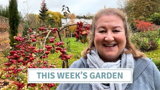 What’s Growing Now | Seedlings, Cuttings & Amaryllis Update // Cottoverdi