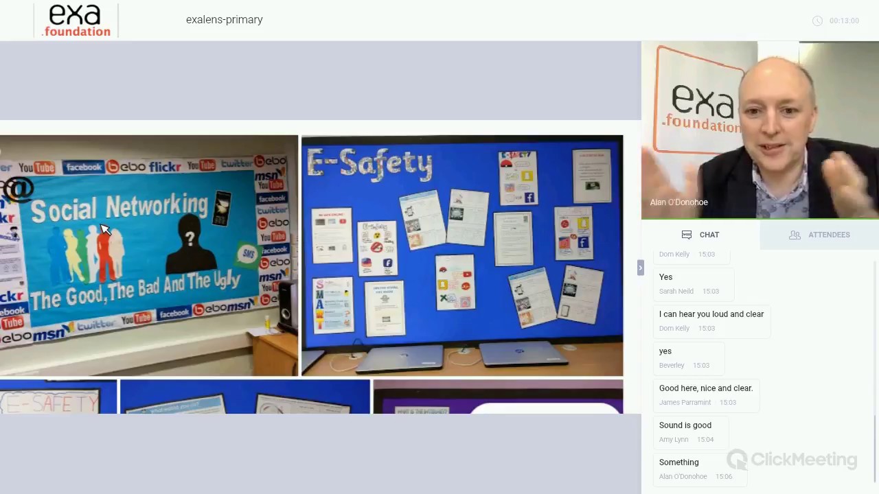 eSafety Displays, Physical Computing and Online Programming IDEs