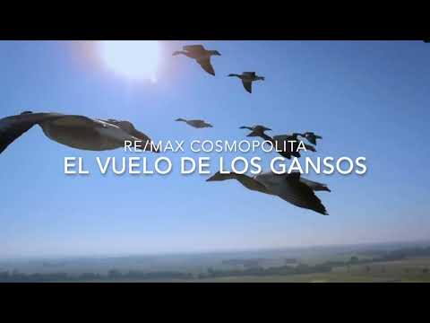 El vuelo de los gansos -  RE/MAX Cosmopolita