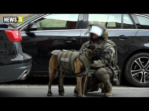 SEK-Einsatz in Bamberg: Mann verschanzt sich mit Messer in Wohnung