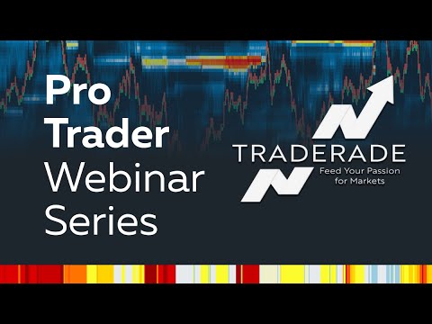 Pro Trader Webinar - Traderade