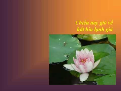 Nhớ mẹ - Mai Hậu