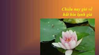 NHỚ MẸ - Thơ Nguyễn Quang Minh - Nhạc Võ Tá Hân - Ca sĩ Mai Hậu