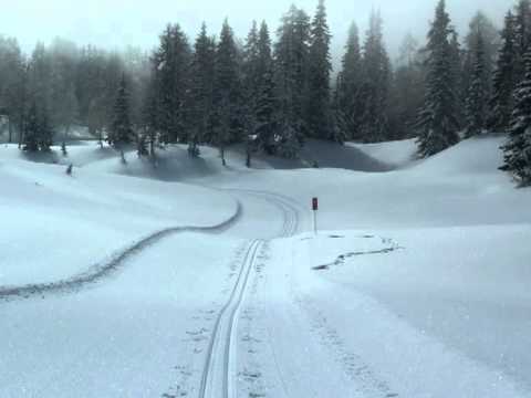 Schitag Tauplitz 23.02.2013