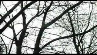 Cryptal Darkness - Last Embrace