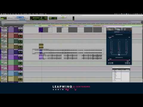 Leapwing Audio - CenterOne Tutorial