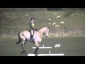 Weston Park Pony Trial & Novice 2013 