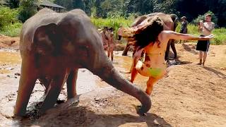Mr. Elephant Swept Me Off My Feet?!