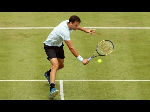 Dimitrov vs Tsitsipas - Boodles Challenge 2018 Highlights