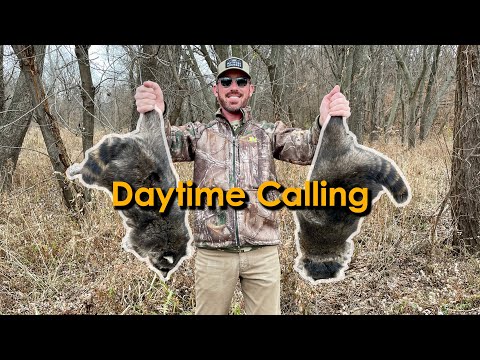 Daytime Raccoon Calling | Lee's First Coon Hunt