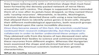 Action 11 module 3 The Rosehip Neurone
