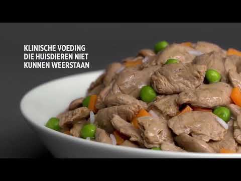 Hill's introduceert Prescription Diet Stooofpotjes op Dierapotheker.nl