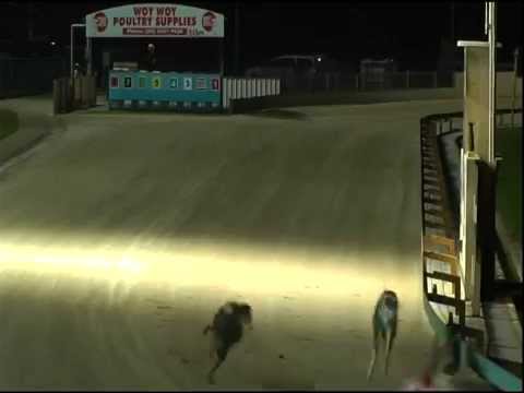 GOSFORD-14102014-RACE-7