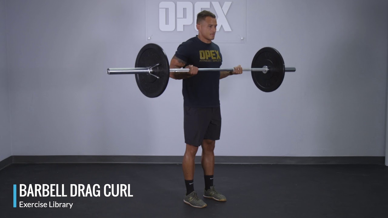 Barbell Drag Curl