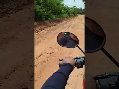 lugares maravilhosos palmeira do Piauí