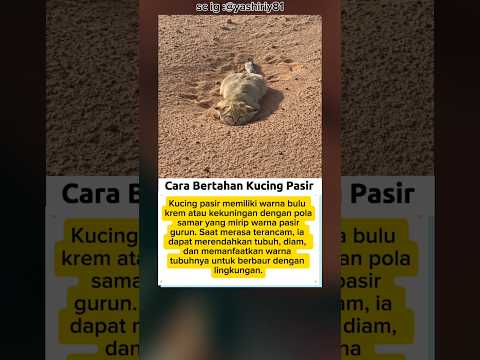 Cara yang Tak Efektif untuk Manusia