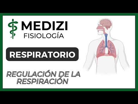 Class 42 Respiratory Physiology - Regulation of Breathing (IG:@doctor.paiva)