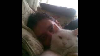 Heartbreak radio I will love you