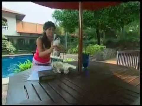 IMEL PUTRI CAHYATI & TEMMY RAHADI - MERPATI.