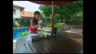 Download lagu IMEL PUTRI CAHYATI & TEMMY RAHADI - MERPATI. mp3 Download lagu IMEL PUTRI CAHYATI & TEMMY RAHADI - MERPATI. mp3