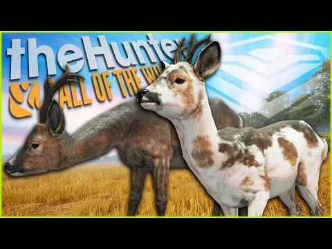 I Hunted Roe Deer For 7 DAYS STRAIGHT & Got Diamond & Rare Trophies! Call of the wild