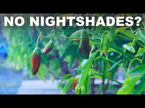 Nightshades (probably) aren't hurting you (tomatoes, peppers, potatoes, eggplant, etc)